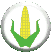 Corn button